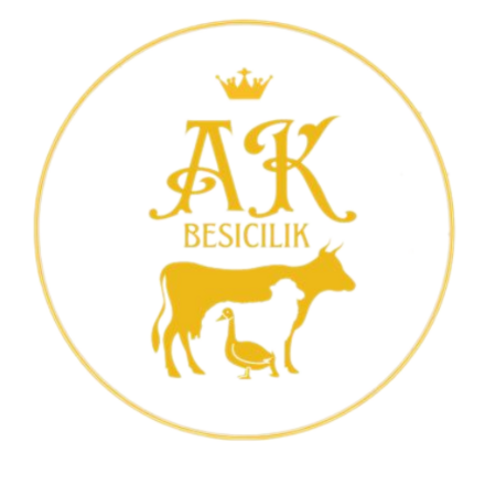 AkBesicilik Logo